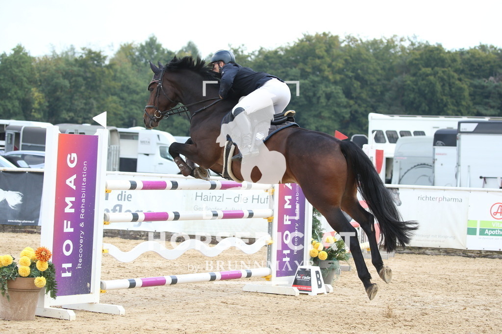 DL2Q5307 | Willkommen bei Brunnmayr - Design & Fotografie – Ihrem Spezialisten für Reitturniere und Pferdeveranstaltungen in Oberösterreich, Salzburg und Bayern! Seit über 17 Jahren sind wir leidenschaftlich dabei.