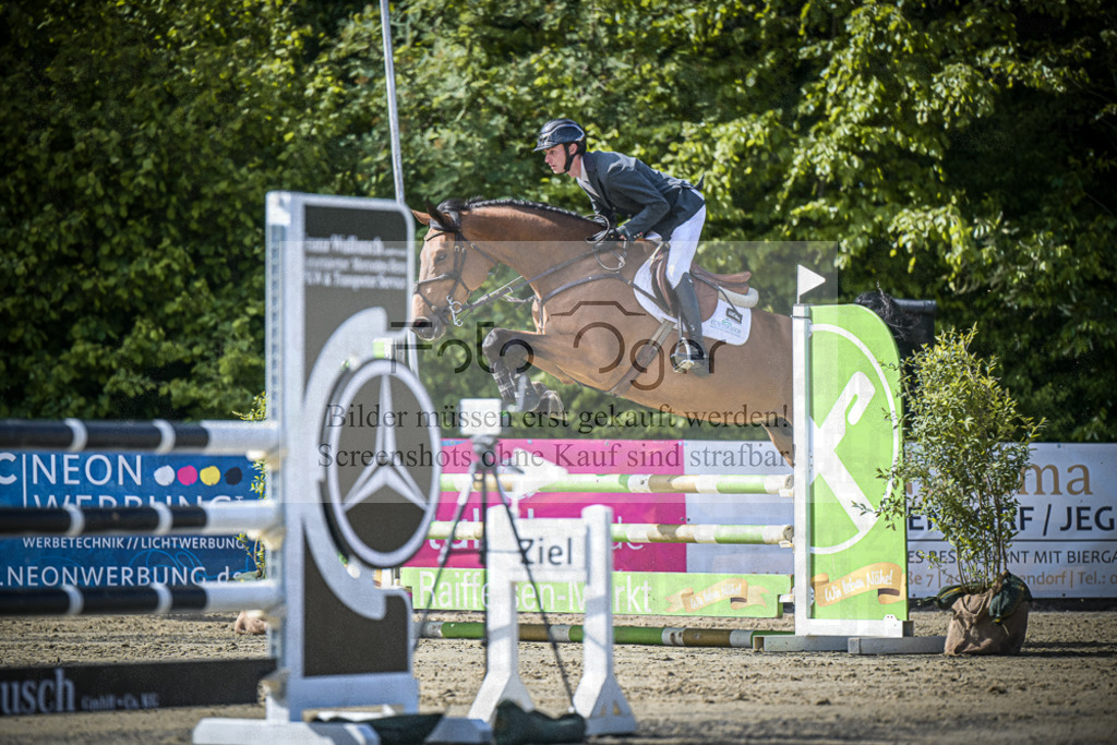 DOS_8597 | Entdecke hochwertige Reitturnierfotos von Foto Oger. Professionell, emotional und authentisch – jetzt Lieblingsmomente im Shop bestellen.Deutschlandweite Turnierfotografie. - Realisiert mit Pictrs.com