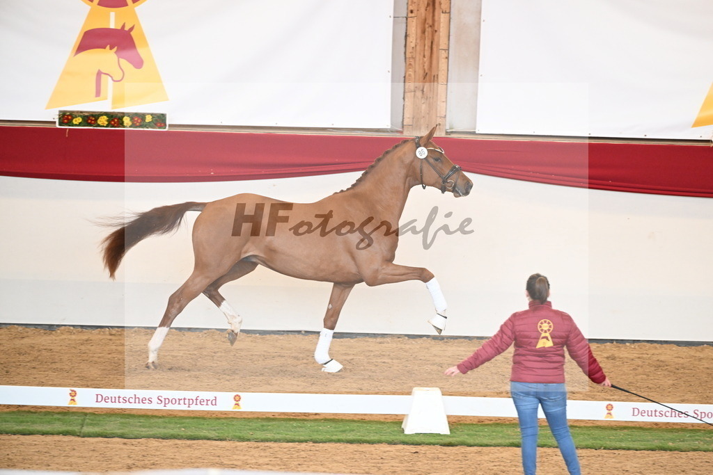 Kat.-Nr. 86 v. Vitalis_Bachinger_2250867 | hf-fotografie - Realisiert mit Pictrs.com