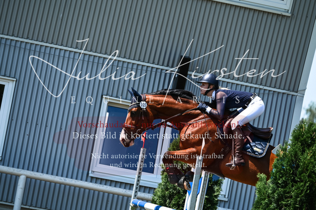 DSC_0188 | Pferde- und Turnierfotografie in Westsachsen. Pferdeportraits, Auftragszeichnungen und intuitive Kunst.
