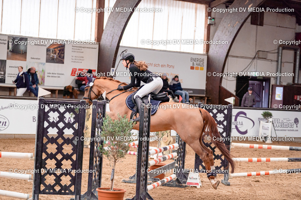 Kranichstein Tag 3-378 | dv-media-shop - Realisiert mit Pictrs.com