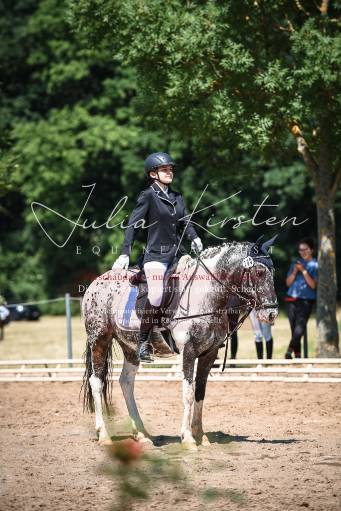 DSC_3203 | Pferde- und Turnierfotografie in Westsachsen. Pferdeportraits, Auftragszeichnungen und intuitive Kunst.