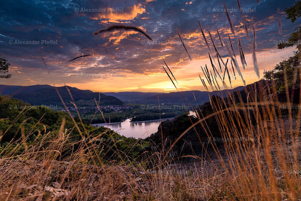 foto_c_pfeffel-partner-0016-R5_19009-HDR-Bearbeitet | alexander-pfeffel - Realisiert mit Pictrs.com