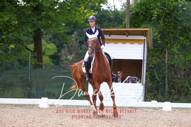 DKP42095 | Turniersportfotografie; Pferdefotografie; Dressurfotografie