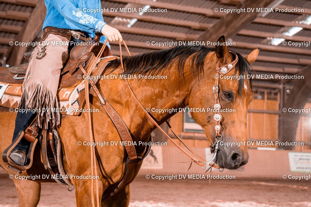 NE200743 | dv-media-shop - Realisiert mit Pictrs.com