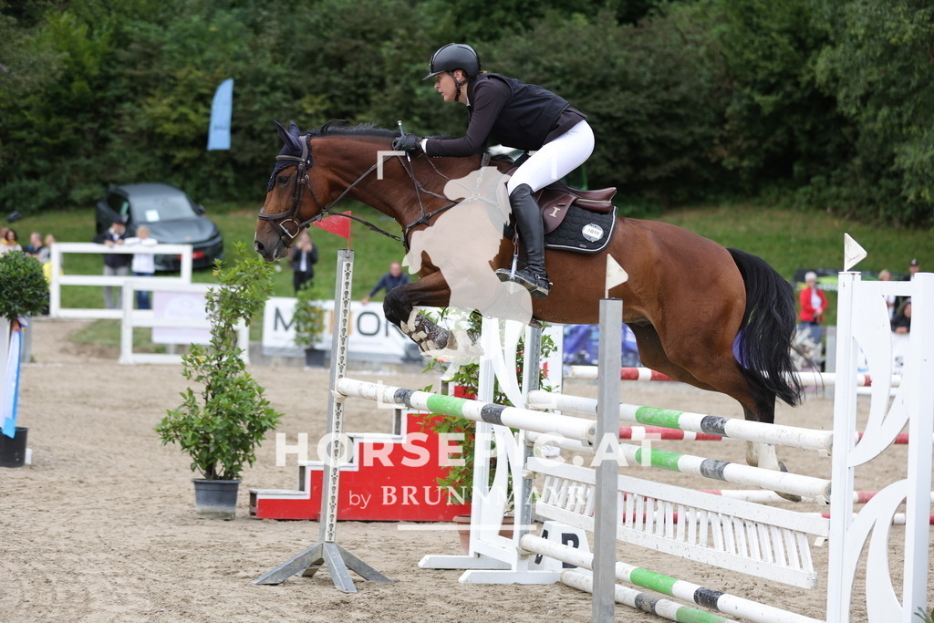 0P6A2740 | Willkommen bei Brunnmayr - Design & Fotografie – Ihrem Spezialisten für Reitturniere und Pferdeveranstaltungen in Oberösterreich, Salzburg und Bayern! Seit über 17 Jahren sind wir leidenschaftlich dabei.