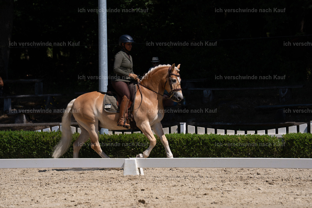 WS_DR_1_sinafilmart_IN03358 | working equitationturnier fotograf videograf stoibphotography marixx film working equitation deutschland reitsport turnierfotografie eventfotografie equestrian events