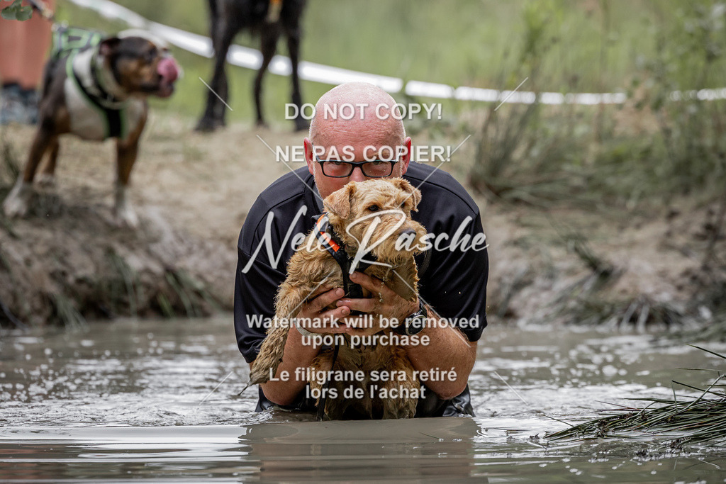 nelerasche_so0930-1000_83 | nelerasche