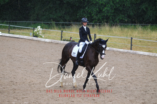 DKP46929 | Turniersportfotografie; Pferdefotografie; Dressurfotografie