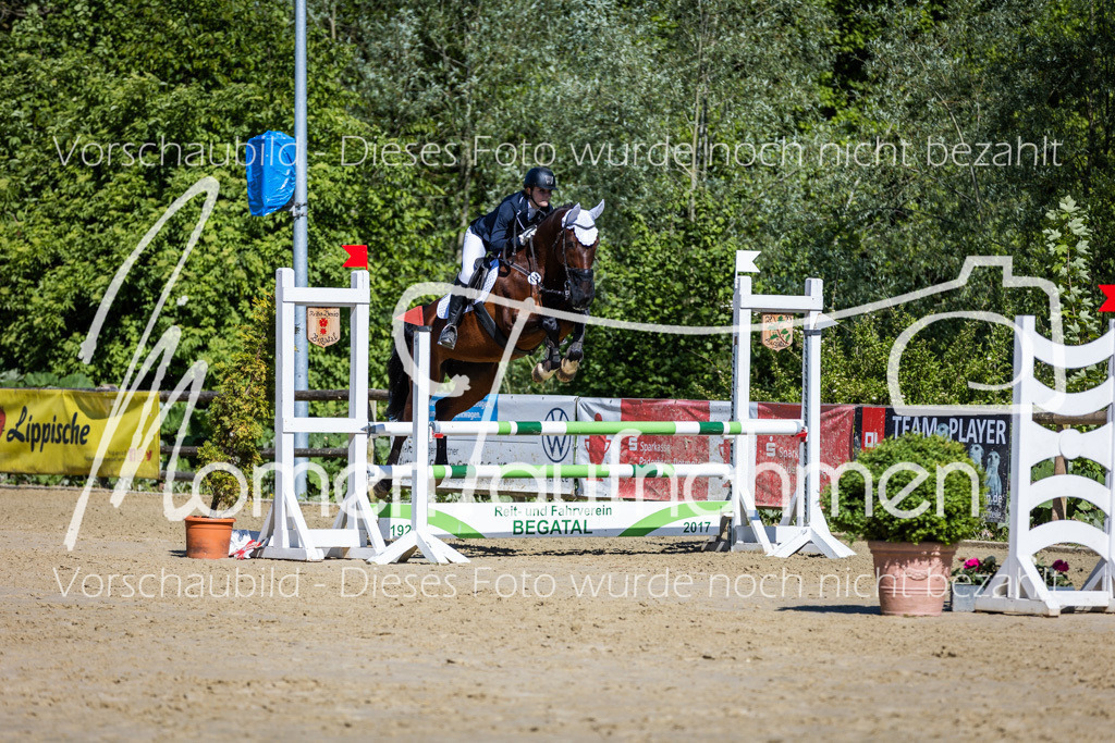 Donop24-A2Spr-149 | MomenTaufnahmen Pferdesportfotos