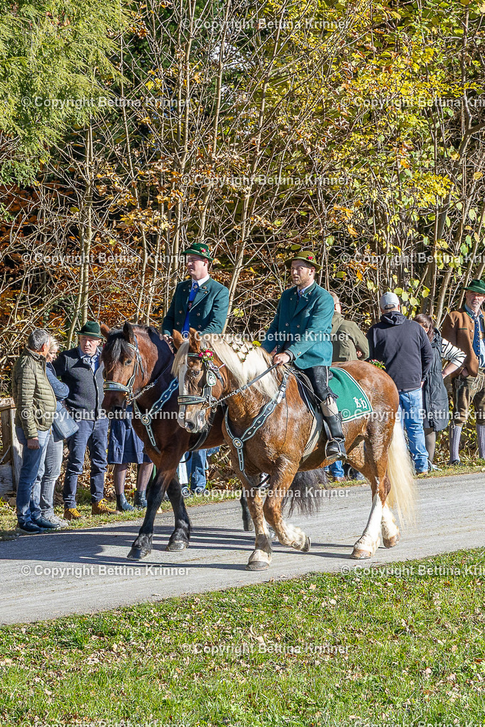 LBT25-608 | foto-bettina-krinner - Realisiert mit Pictrs.com