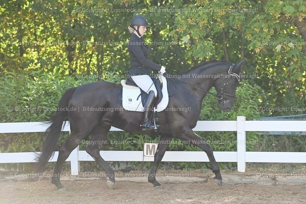 20230715_06_Dressurpferdeprfg. Kl.A_0080 | equistock
