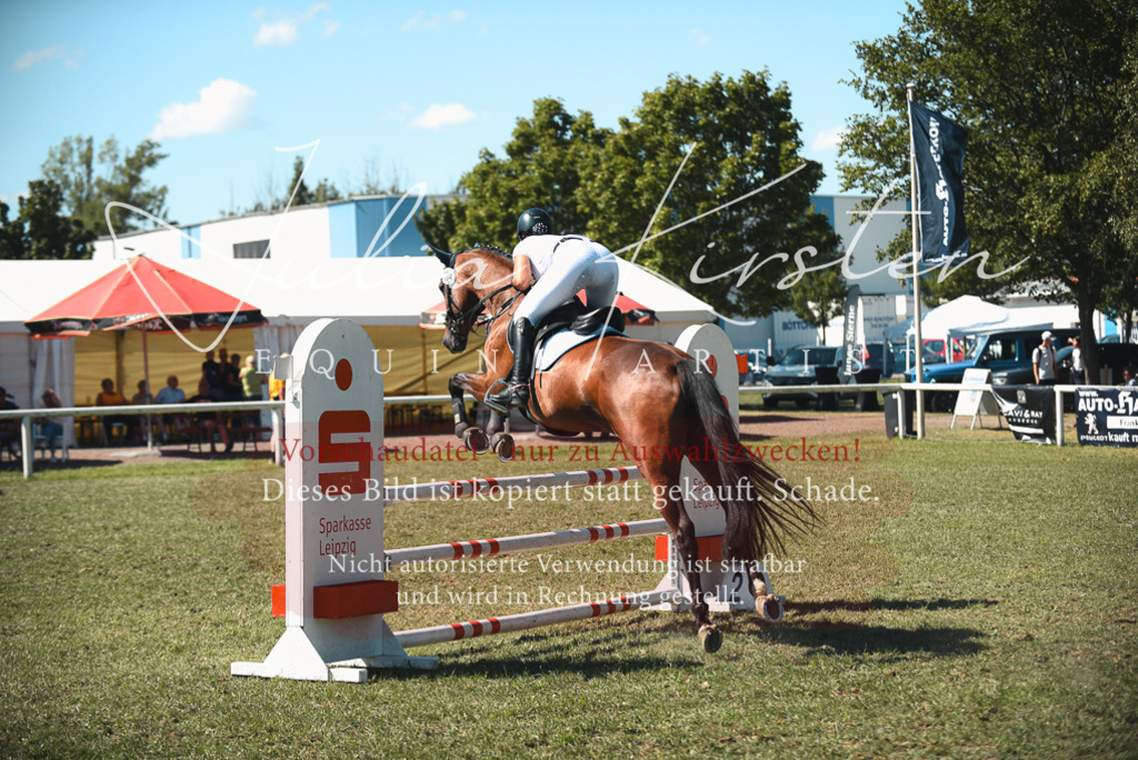 DSC_7241 | Pferde- und Turnierfotografie in Westsachsen. Pferdeportraits, Auftragszeichnungen und intuitive Kunst.