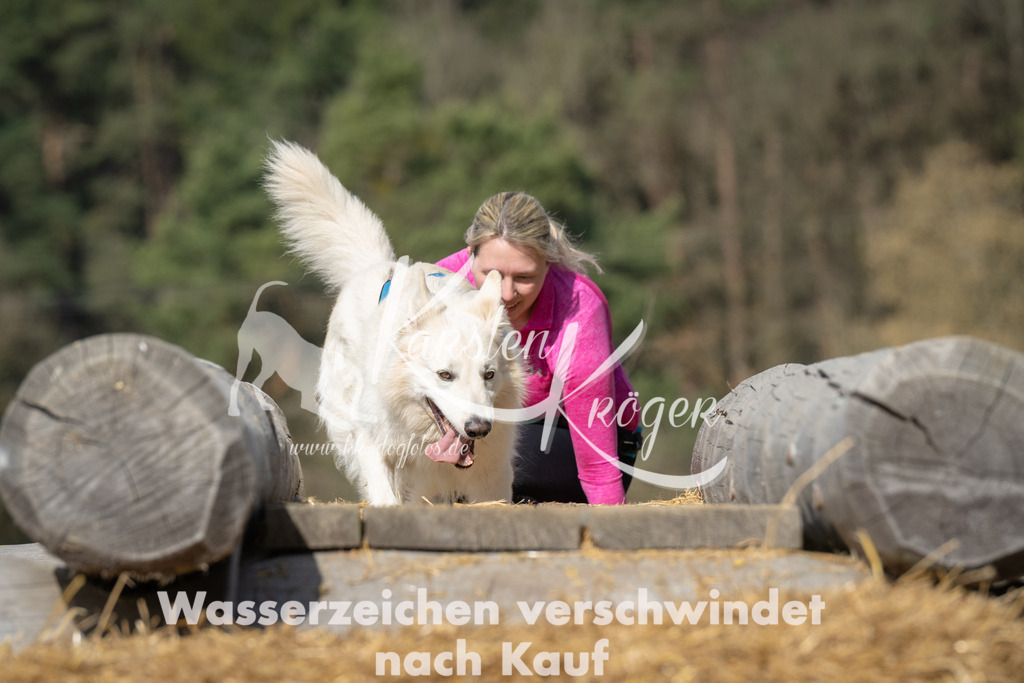 1030_ZZ91878 | kk-dogfotos