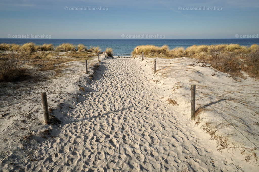Weg über die Düne zum Strand | Ein Weg führt durch die bewachsene Düne von Schwarzer Busch auf Poel zum Ostseestrand.