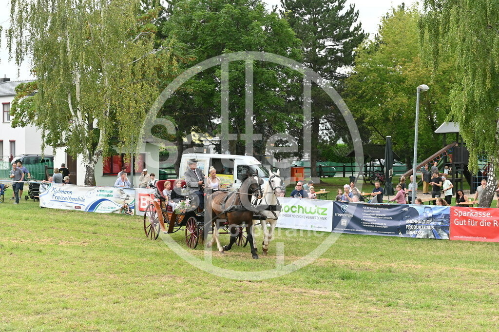 DSC_3568 | sattelsport - Realisiert mit Pictrs.com