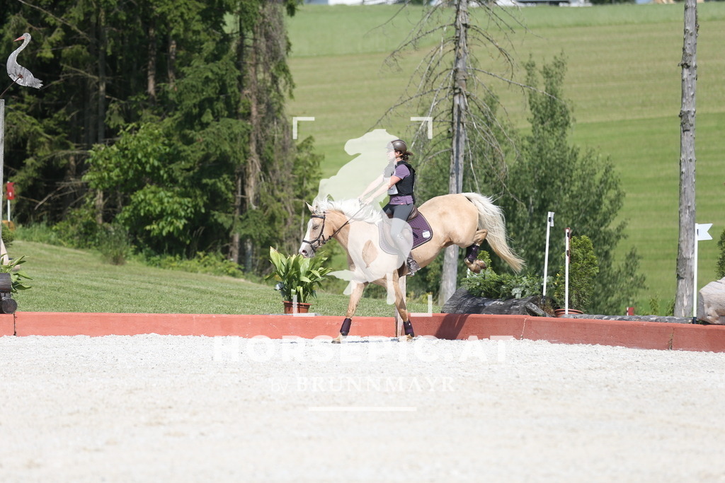 DL2Q2858 | Willkommen bei Brunnmayr - Design & Fotografie – Ihrem Spezialisten für Reitturniere und Pferdeveranstaltungen in Oberösterreich, Salzburg und Bayern! Seit über 17 Jahren sind wir leidenschaftlich dabei.