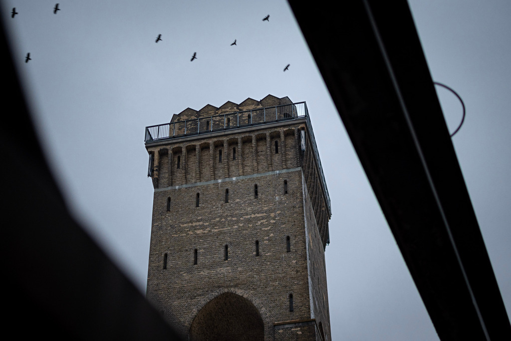 _DSC0382 | kaefersammler_roy - Realisiert mit Pictrs.com