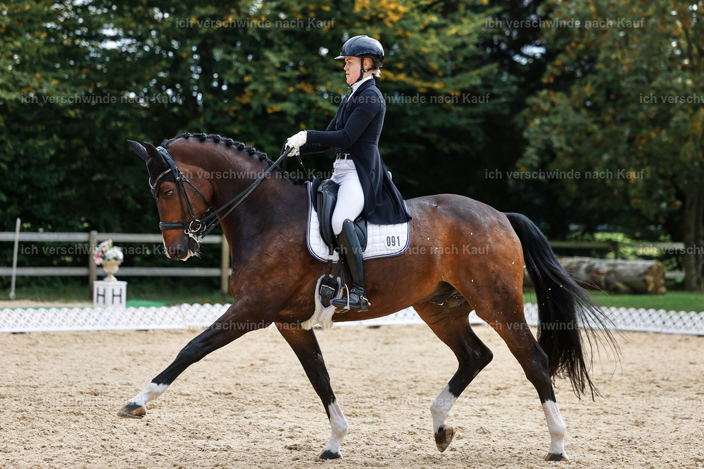 11-091-Dressur S___-StoibPH-1295 | working equitationturnier fotograf videograf stoibphotography marixx film working equitation deutschland reitsport turnierfotografie eventfotografie equestrian events