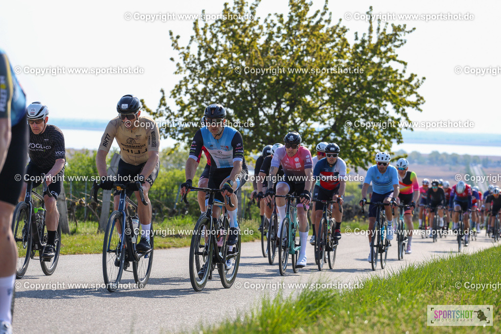 IMG_1257 | @sportshot_your_pictrs #yourpictures#roadtowm2029 #nrm #neusiedlerseeradmarathon #neusiedlersee #neusiedlerseetourismus #burgenland #mörbisch #nrm26 #burgenlandtourismus #voglundco #poweredbyburgenlandtourismus #radsport #rad #marathon #ucigranfondo #visitburgenland #ucigranfondoworldseries