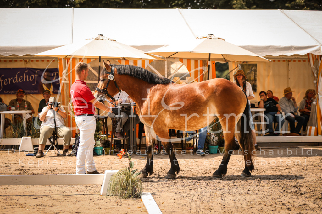 2.Sa00002 | Leoni Ertmer Photography - Realisiert mit Pictrs.com