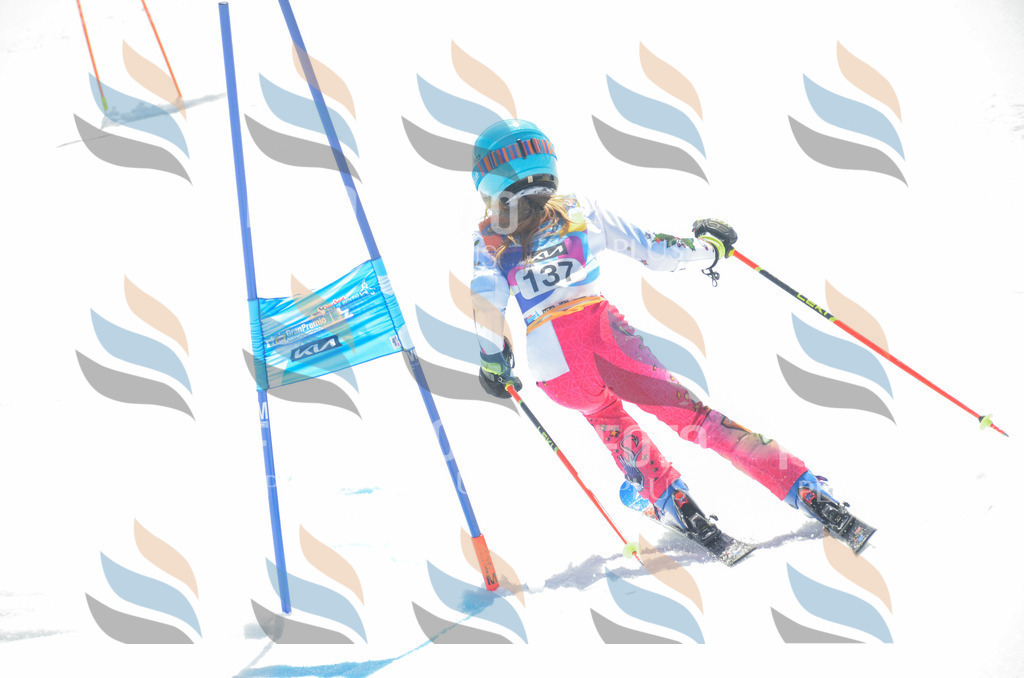 _ELE6192 | holidayphoto