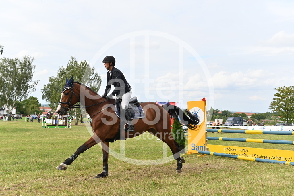 DSC_3764 | sattelsport - Realisiert mit Pictrs.com