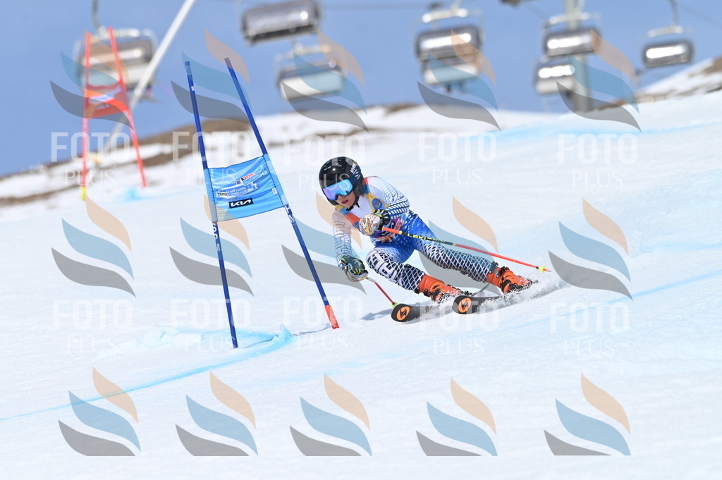 BGV_3187 | holidayphoto