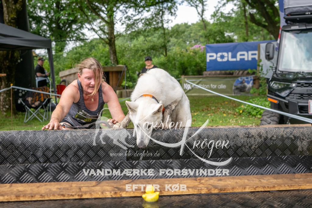 1017_ZZ90450 | kk-dogfotos