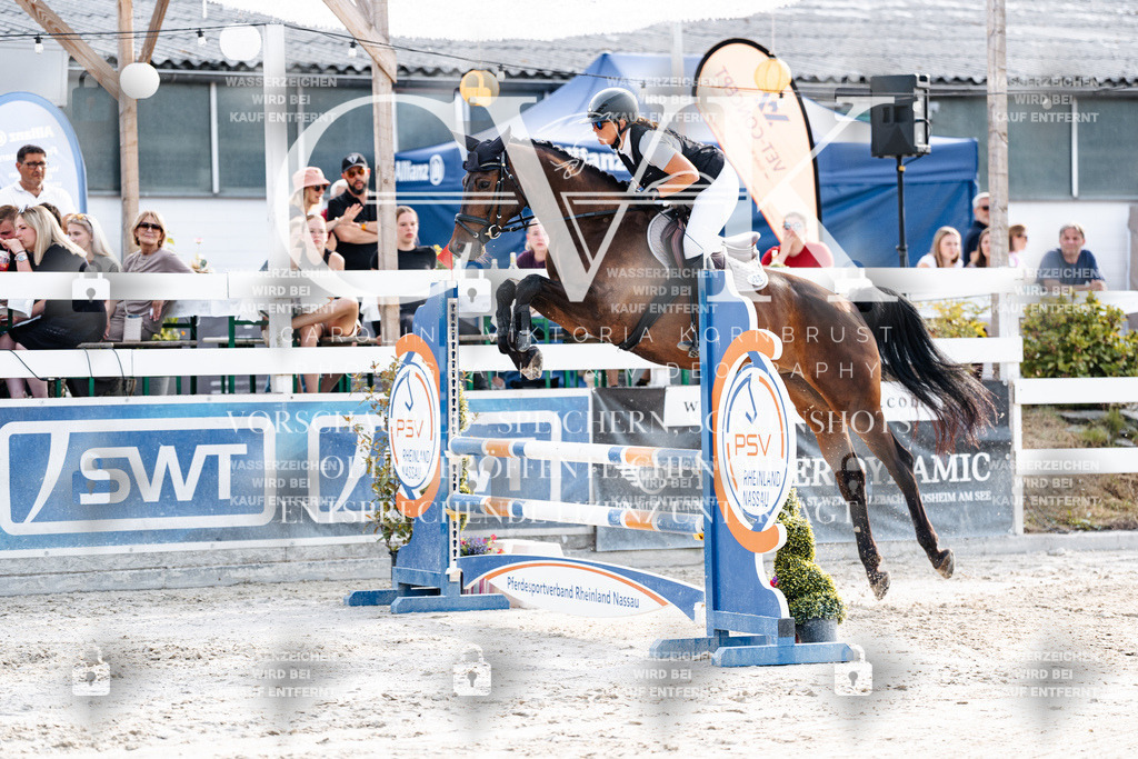 CK906305 | Turnierfotografie Pferdefotografie Trier Rheinland-Pfalz Pferdesport Reitsport Tierfotografie Sportfotografie Pferdevideo Pferdevideografie Equestrianvideography equestrianphotography  - Realisiert mit Pictrs.com
