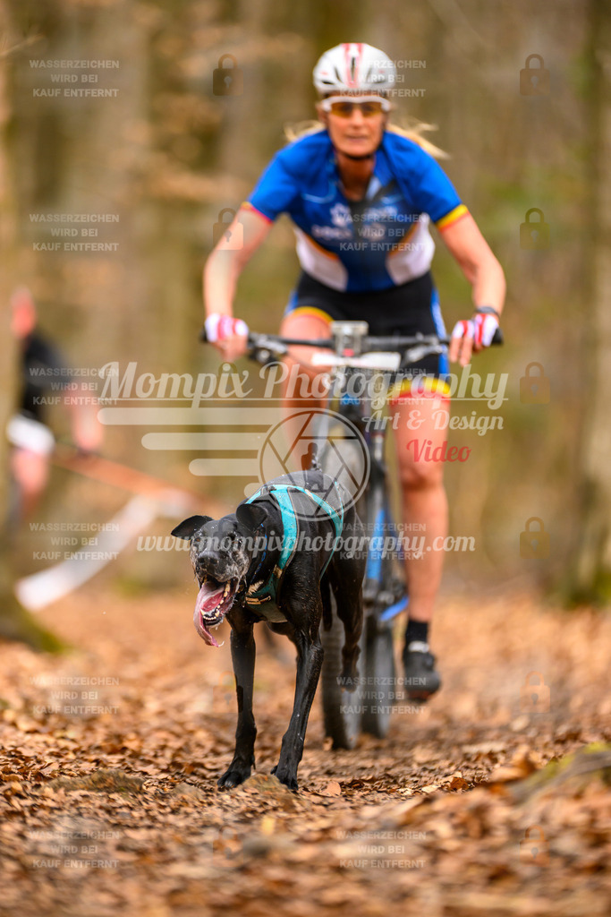 MompixPhotography_Habay2025_SA_Bike-62 | mompixphotography