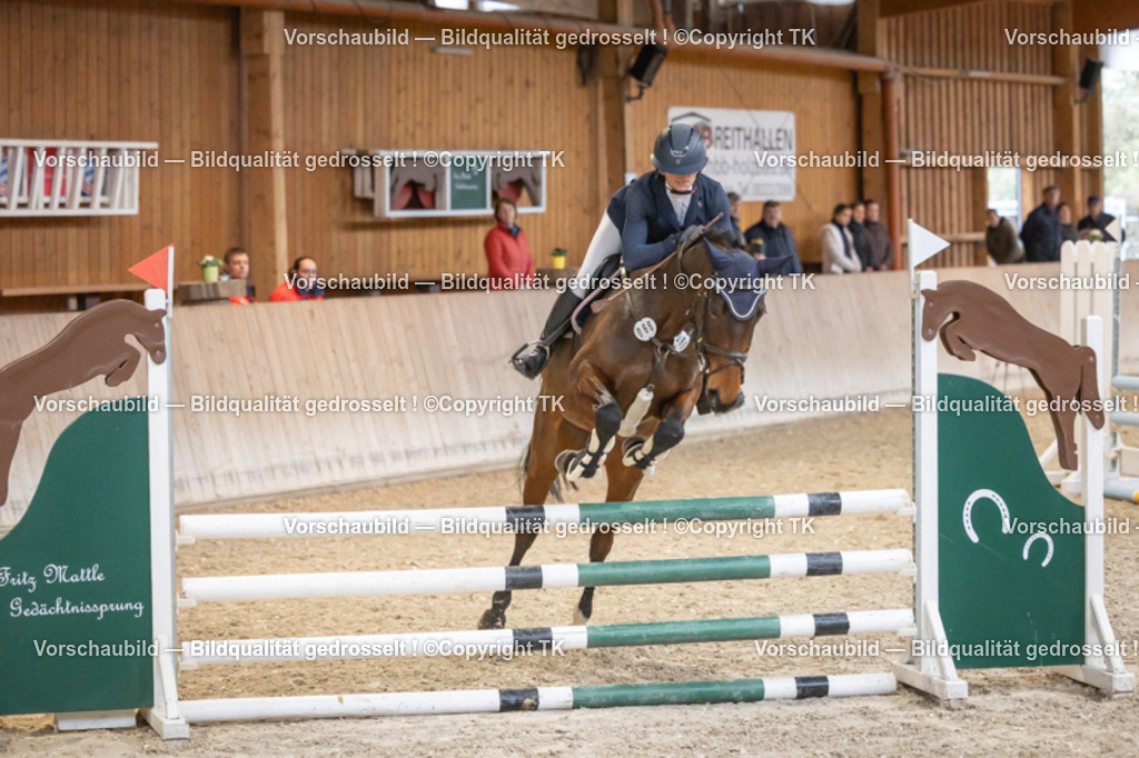 _D5A7085 | Emotionale Pferde- & People-Fotografie rund um Heidelberg, Leimen & Umgebung. Natürliche Fotos von Pferd, Mensch & Familie. Jetzt Termin sichern!