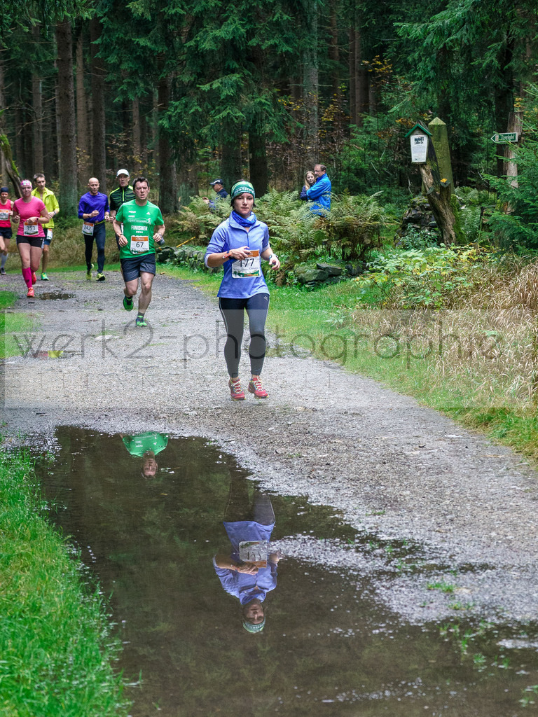 Herbstlauf 2017 | Neuhaus/Rwg. - Masserberg am 1. Oktober 2017