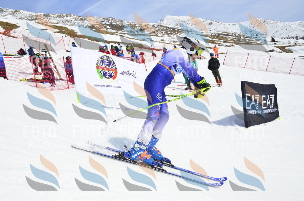 _ELE1695 | holidayphoto