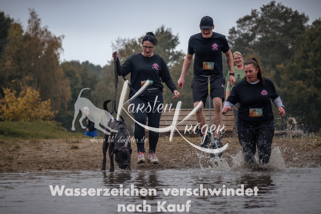 1311_ZZ93326 | kk-dogfotos
