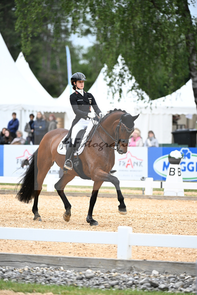 Sohler_Askehavens Beau Sancy_11251725 | hf-fotografie - Realisiert mit Pictrs.com