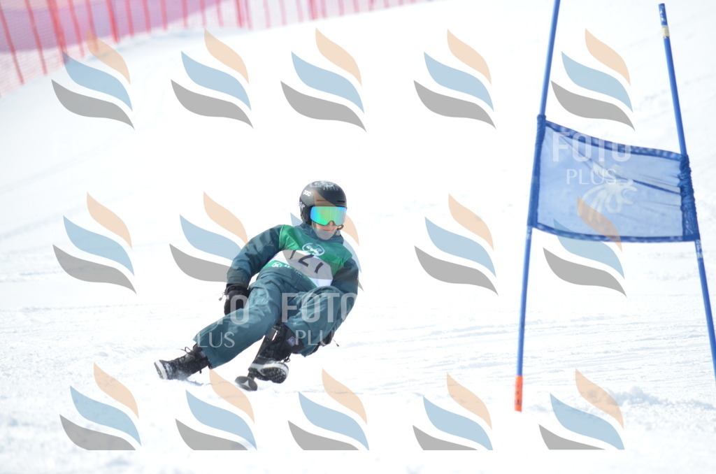 D9266 | holidayphoto