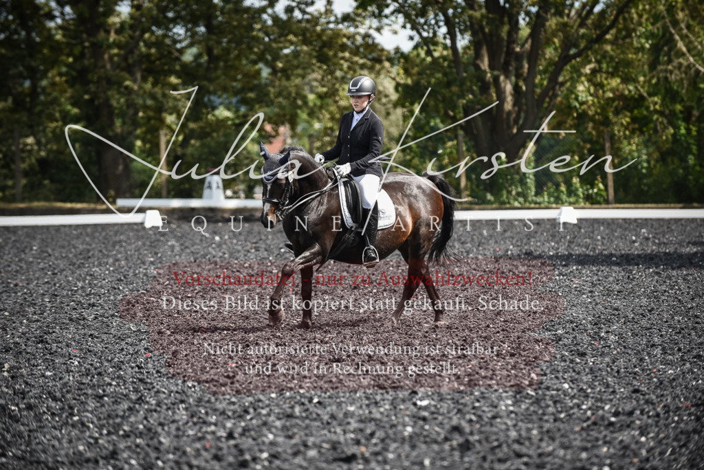 DSC_5119 | Pferde- und Turnierfotografie in Westsachsen. Pferdeportraits, Auftragszeichnungen und intuitive Kunst.