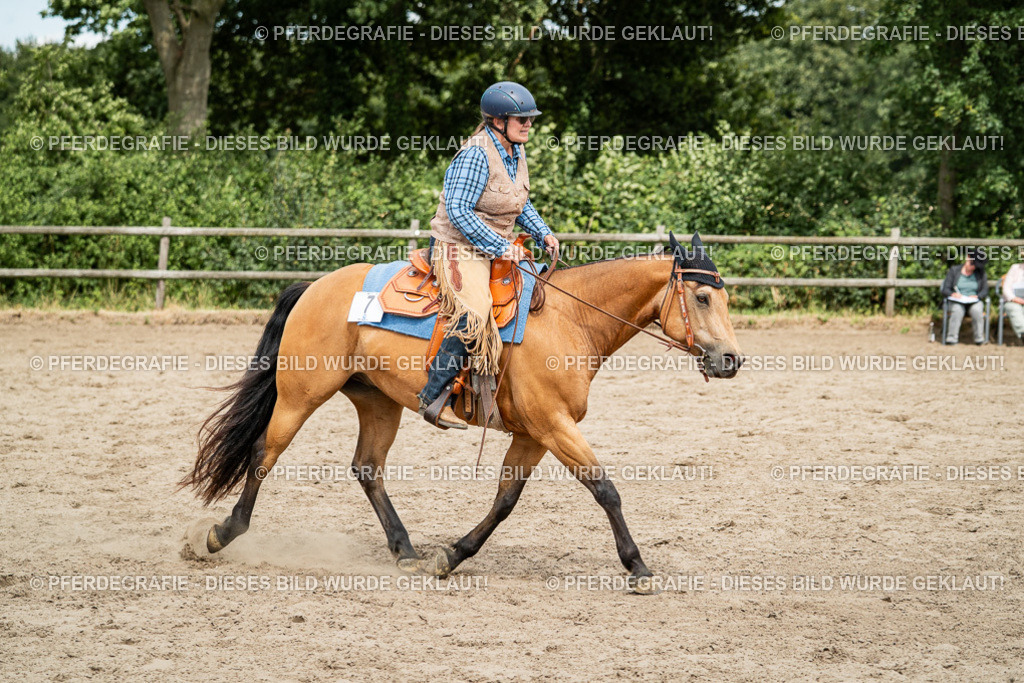 DSC01929 | Pferdegrafie