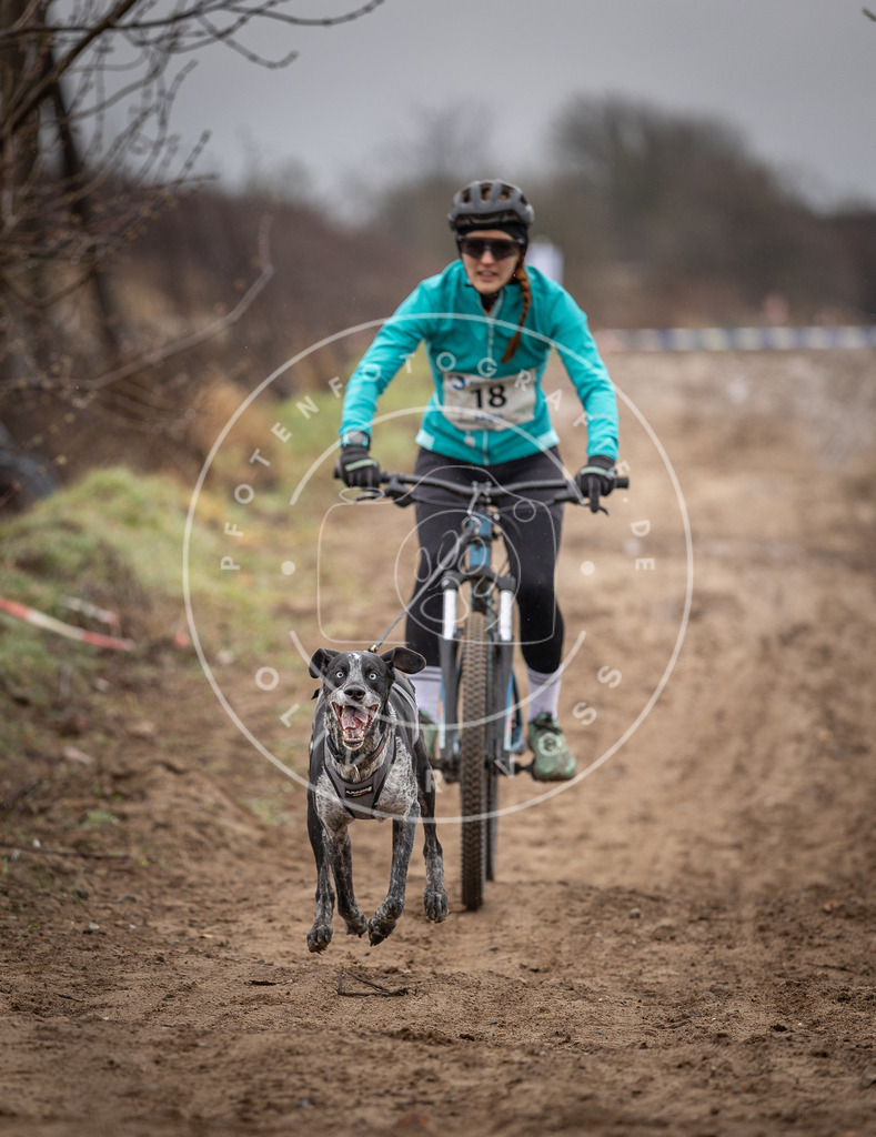 DV3A9003 | Hundefotografie, Tierfotograf, Pfotenfotografie, Fotoshooting Hund, Hunde Portrait, Hundesport, Hundeportraits, Heideshooting, Hunde, Sportfotograf, Hundefotograf, Turnierhundsport, THS,  - Realisiert mit Pictrs.com