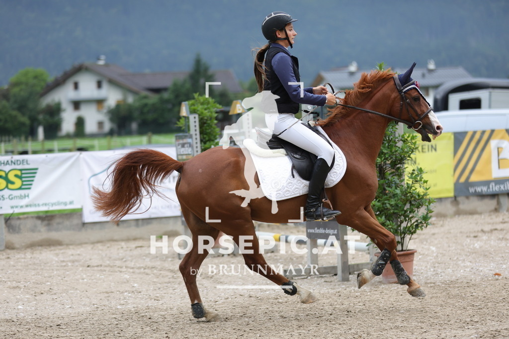 0P6A0140 | Willkommen bei Brunnmayr - Design & Fotografie – Ihrem Spezialisten für Reitturniere und Pferdeveranstaltungen in Oberösterreich, Salzburg und Bayern! Seit über 17 Jahren sind wir leidenschaftlich dabei.