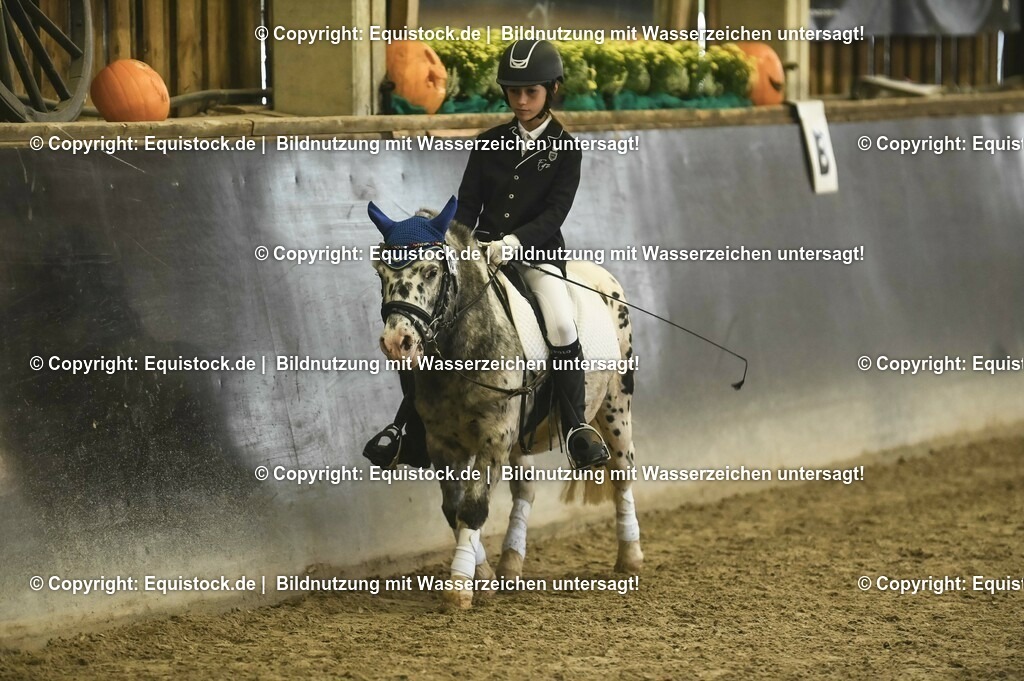 20231029_02_Reiter-WB_Schritt-Trab-Galopp_Abteilung-01_0064 | Foto: Thomas Hartig