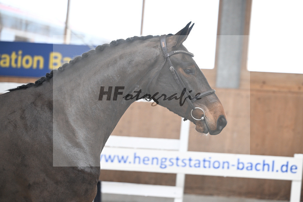 Kat-Nr. 21 Courchevel B v. Cizero Z_Bachl_14260443 | hf-fotografie - Realisiert mit Pictrs.com