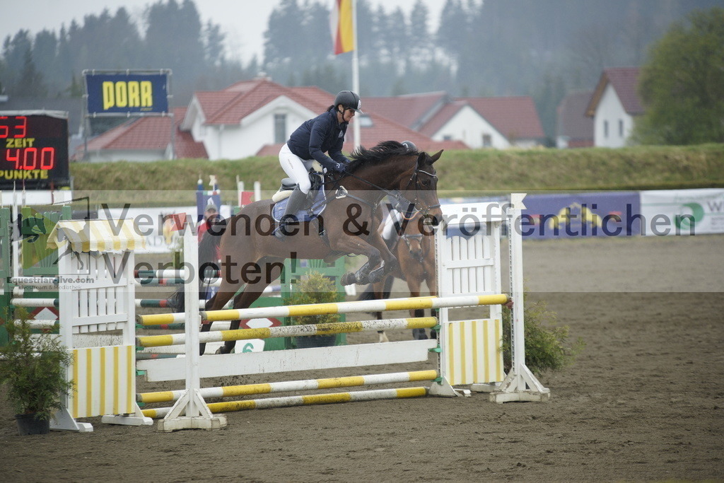 _DSC3895 | equestrian-live-com