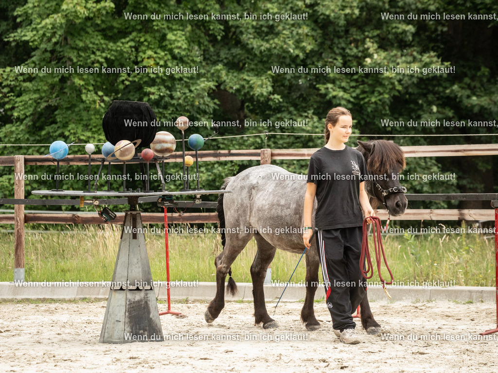 598A6600 | photographylinaismer - Realisiert mit Pictrs.com