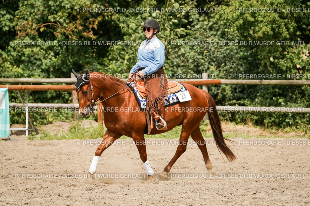 DSC00097 | Pferdegrafie