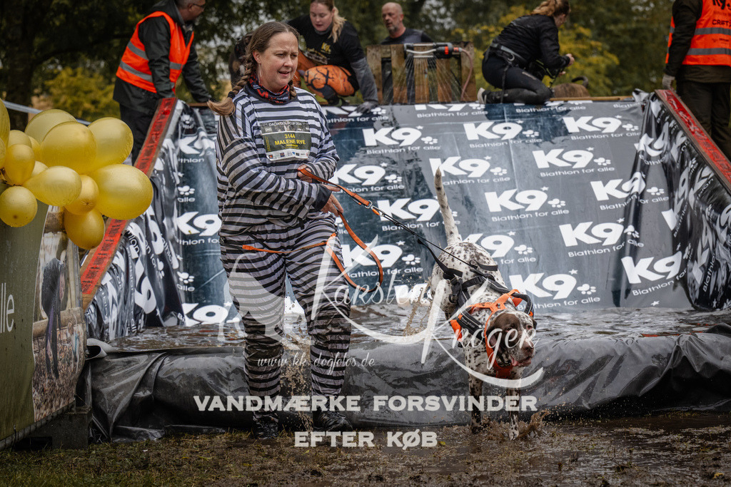 1111_ZZ92048 | kk-dogfotos