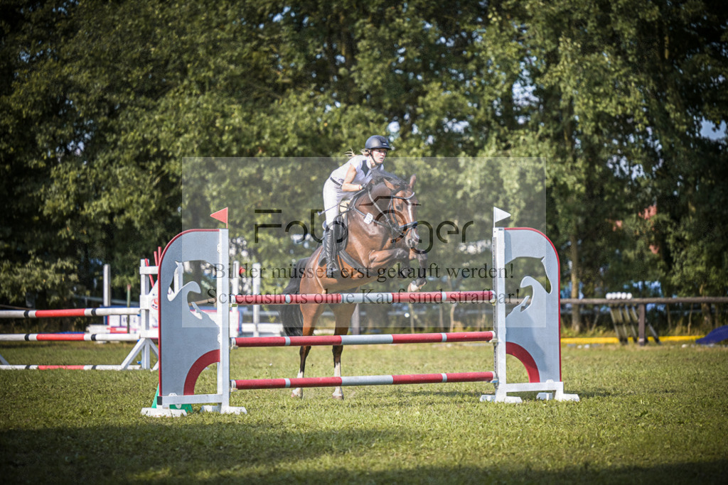 DOS_0183 | Entdecke hochwertige Reitturnierfotos von Foto Oger. Professionell, emotional und authentisch – jetzt Lieblingsmomente im Shop bestellen. - Realisiert mit Pictrs.com