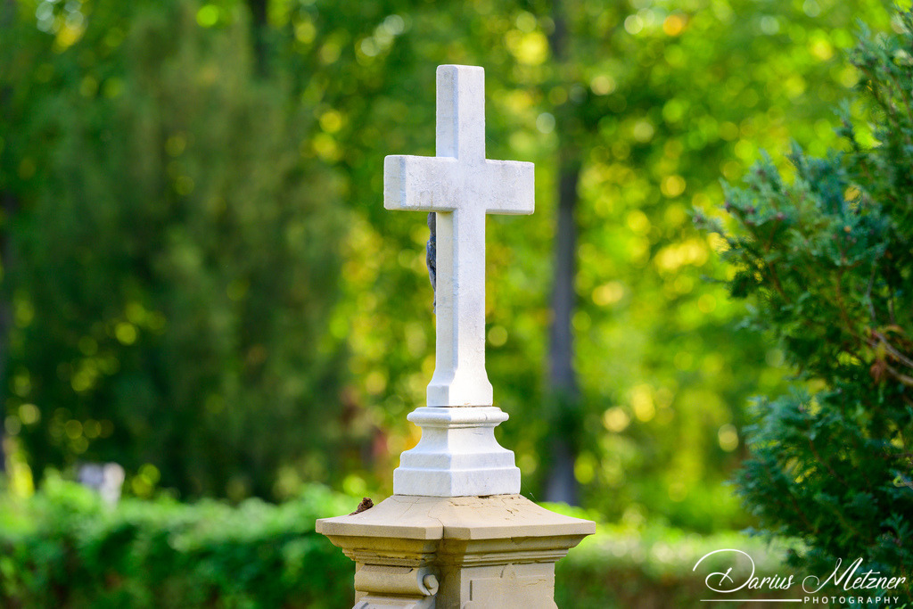 Der alte Hauptfriedhof in Mainz | Der alte Hauptfriedhof in Mainz