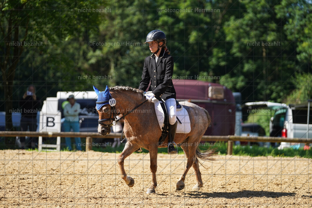 20240706-FAH04725 | Grafing Turnierfotos, Reitverein Ebersberg, Turnierfotografen Bayern, reitsportbilder, Pferdefotograf, reitsportfotograf, Sportbilder, Reitsportfotografie, Fotoagentur Herrmann, Turnierfotograf